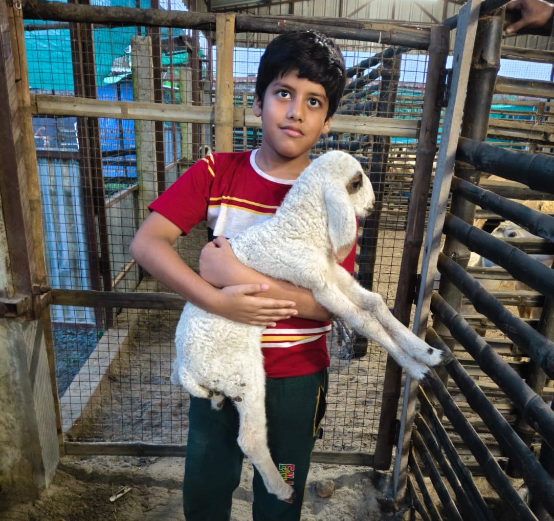 Life on the Farm